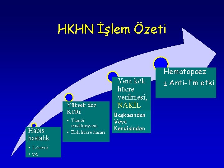 HKHN İşlem Özeti Hematopoez Yüksek doz Kt/Rt Habis hastalık • Lösemi • vd • HKHN İşlem Özeti Hematopoez Yüksek doz Kt/Rt Habis hastalık • Lösemi • vd •