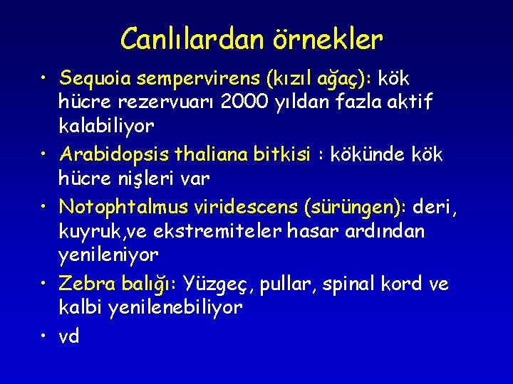 Canlılardan örnekler • Sequoia sempervirens (kızıl ağaç): kök hücre rezervuarı 2000 yıldan fazla aktif Canlılardan örnekler • Sequoia sempervirens (kızıl ağaç): kök hücre rezervuarı 2000 yıldan fazla aktif