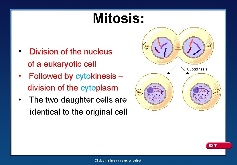 Mitosis: • Division of the nucleus of a eukaryotic cell • Followed by cytokinesis