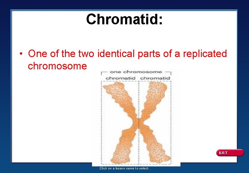 Chromatid: • One of the two identical parts of a replicated chromosome Click on