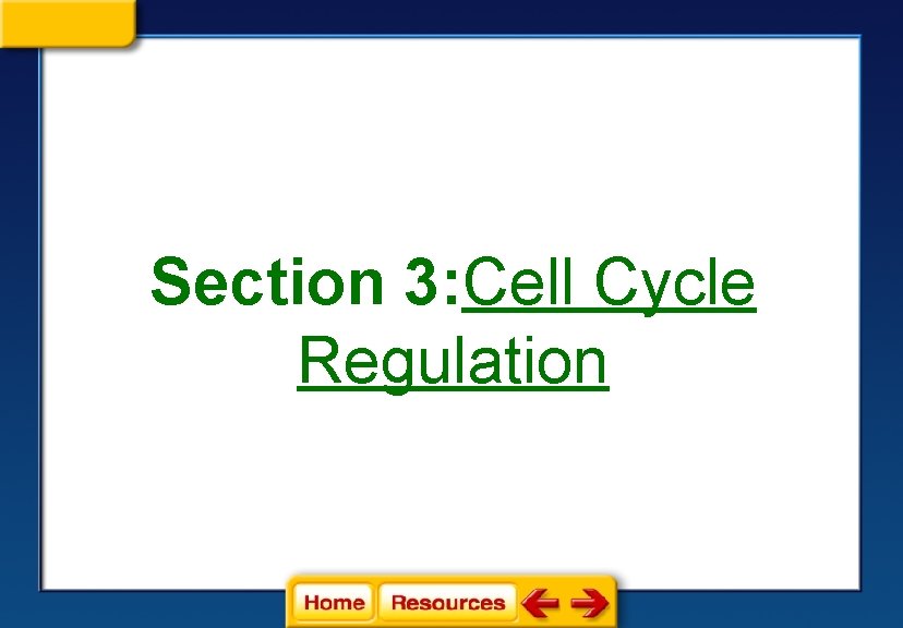 Section 3: Cell Cycle Regulation 