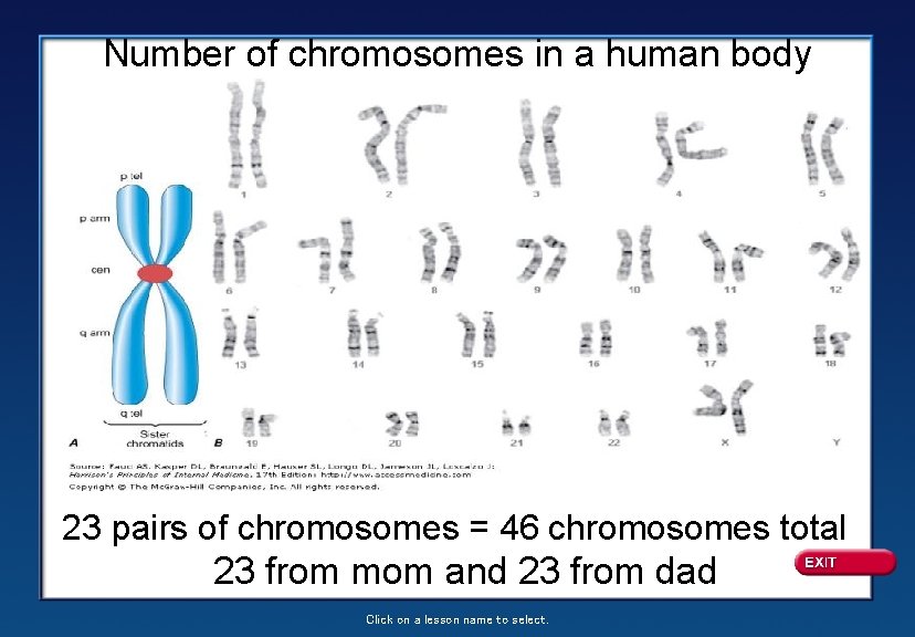 Number of chromosomes in a human body cell? 23 pairs of chromosomes = 46
