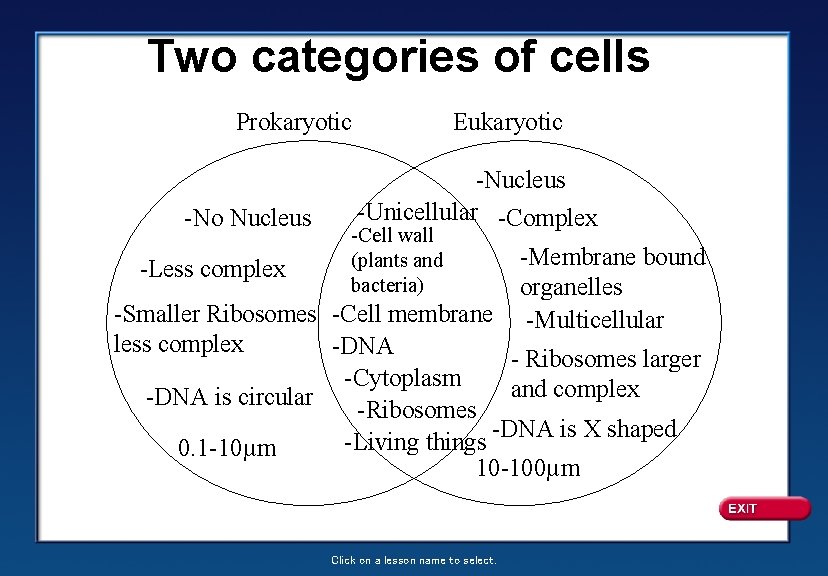 Two categories of cells Prokaryotic -No Nucleus -Less complex Eukaryotic -Nucleus -Unicellular -Complex -Cell