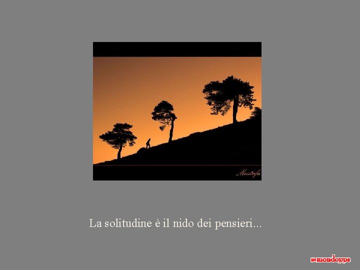 La solitudine è il nido dei pensieri. . . 