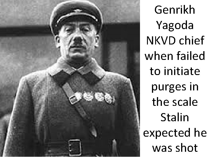 Genrikh Yagoda NKVD chief when failed to initiate purges in the scale Stalin expected