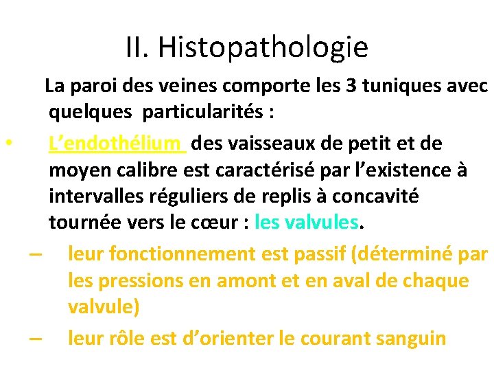 II. Histopathologie La paroi des veines comporte les 3 tuniques avec quelques particularités :