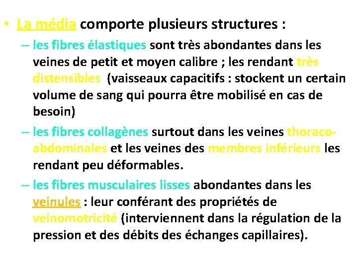  • La média comporte plusieurs structures : – les fibres élastiques sont très