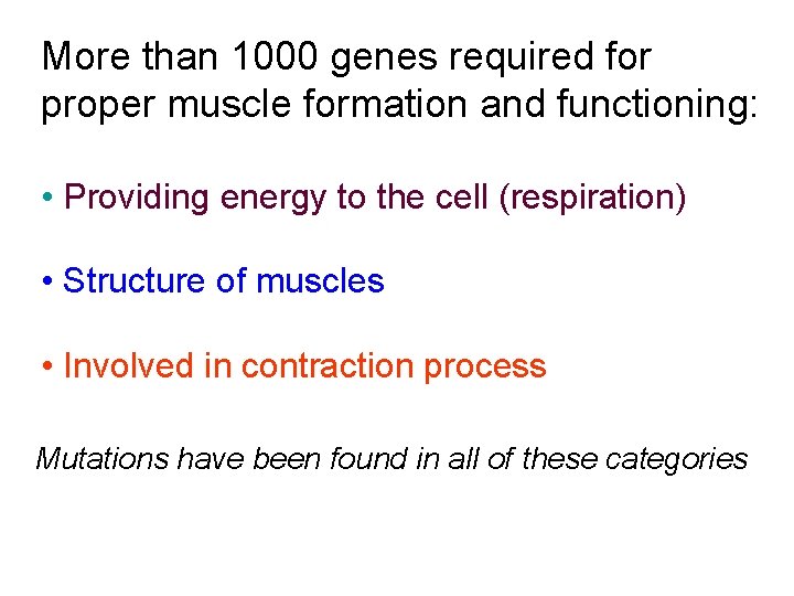 More than 1000 genes required for proper muscle formation and functioning: • Providing energy