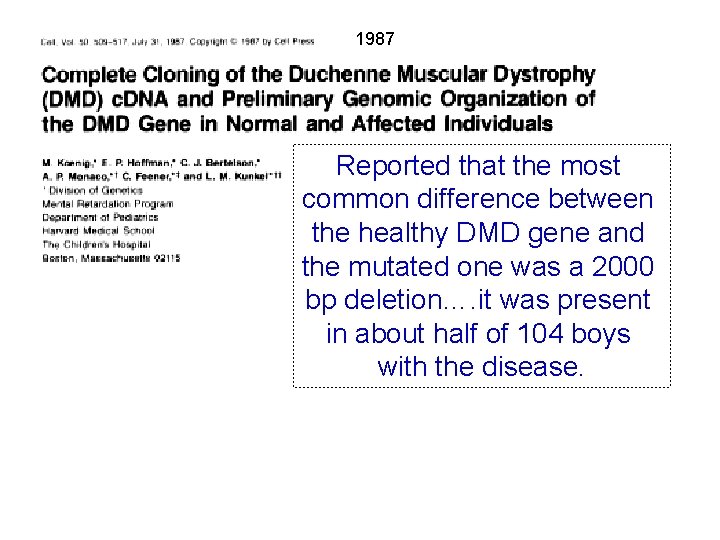 1987 Reported that the most common difference between the healthy DMD gene and the
