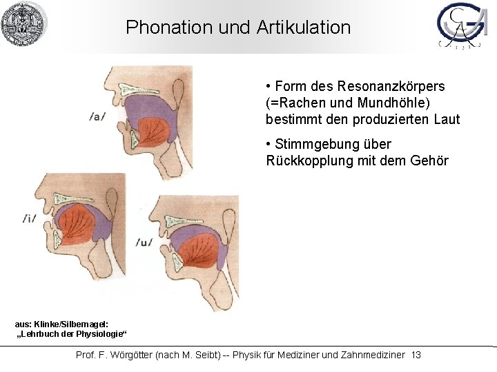 Phonation und Artikulation • Form des Resonanzkörpers (=Rachen und Mundhöhle) bestimmt den produzierten Laut