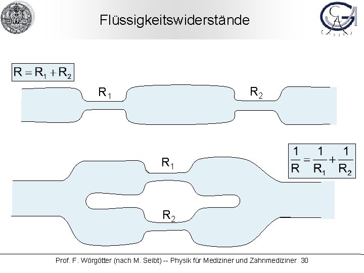 Flüssigkeitswiderstände R 2 R 1 R 2 Prof. F. Wörgötter (nach M. Seibt) --