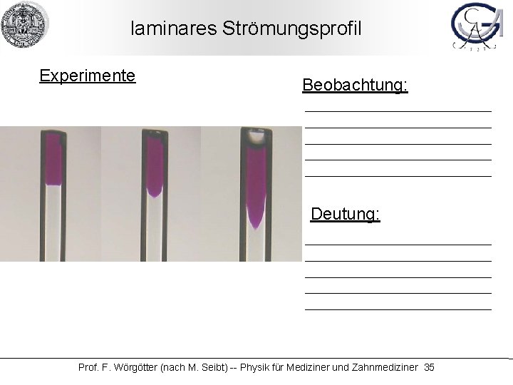 laminares Strömungsprofil Experimente Beobachtung: Deutung: Prof. F. Wörgötter (nach M. Seibt) -- Physik für