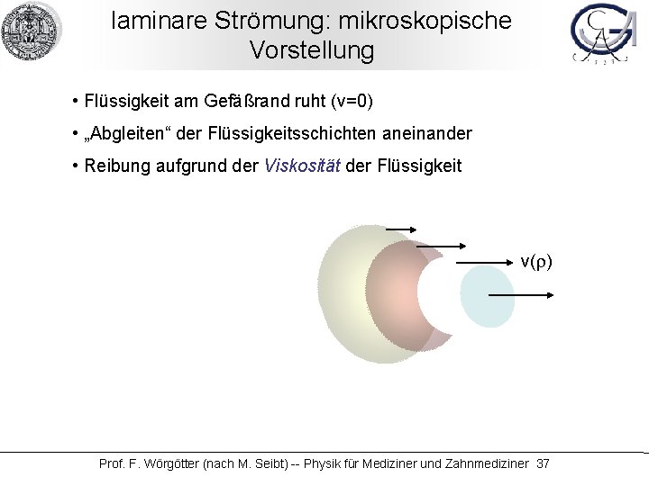 laminare Strömung: mikroskopische Vorstellung • Flüssigkeit am Gefäßrand ruht (v=0) • „Abgleiten“ der Flüssigkeitsschichten