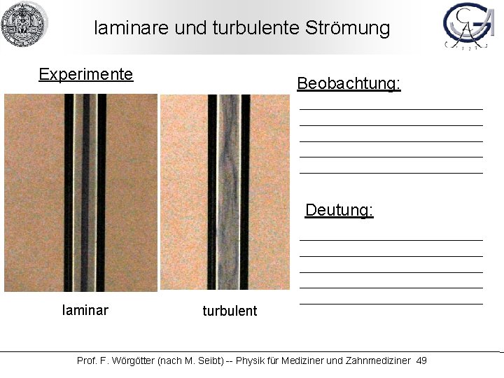 laminare und turbulente Strömung Experimente Beobachtung: Deutung: laminar turbulent Prof. F. Wörgötter (nach M.