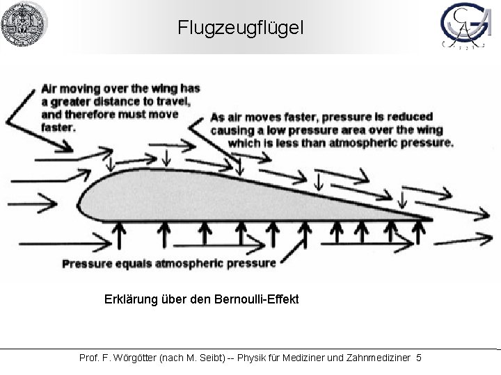 Flugzeugflügel Erklärung über den Bernoulli-Effekt Prof. F. Wörgötter (nach M. Seibt) -- Physik für