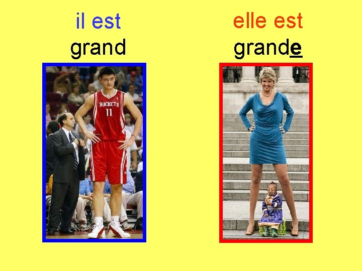 il est grand elle est grande 