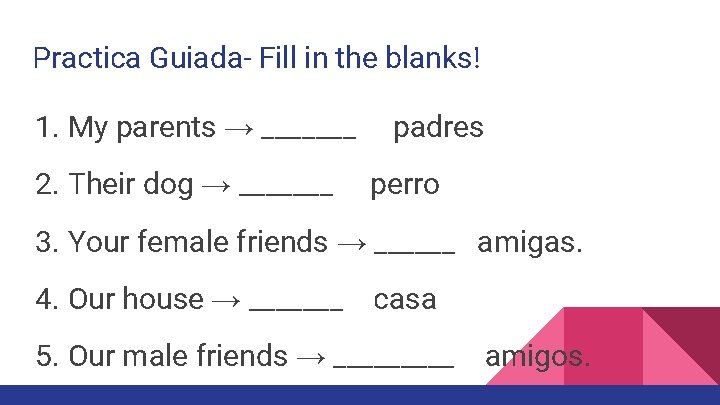 Practica Guiada- Fill in the blanks! 1. My parents → _______ 2. Their dog