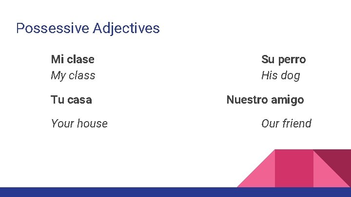 Possessive Adjectives Mi clase My class Tu casa Your house Su perro His dog