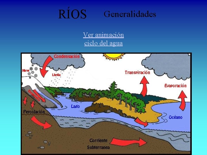 RÍOS Generalidades Ver animación ciclo del agua 