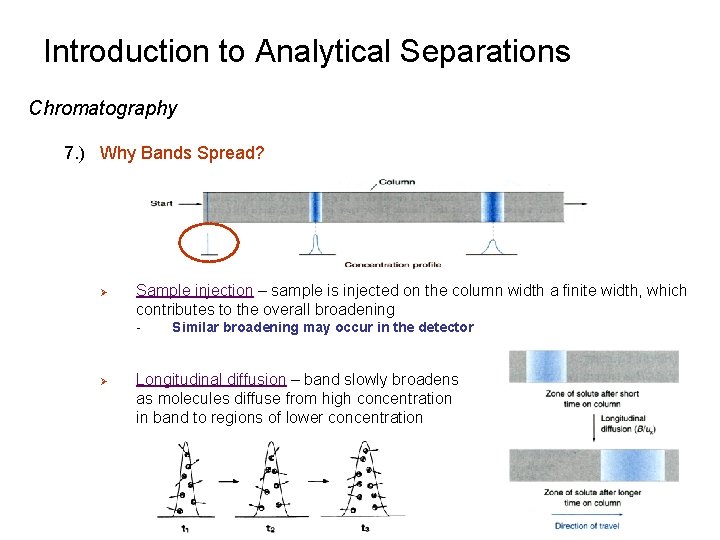 Introduction to Analytical Separations Chromatography 7. ) Why Bands Spread? Ø Sample injection –