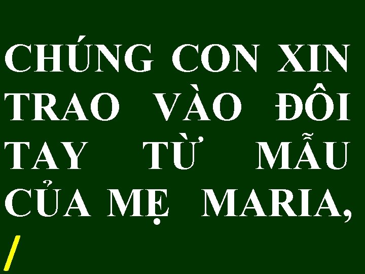 CHÚNG CON XIN TRAO VÀO ĐÔI TAY TỪ MẪU CỦA MẸ MARIA, / 