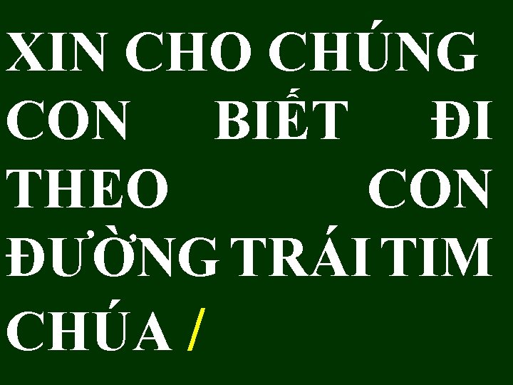 XIN CHO CHÚNG CON BIẾT ĐI THEO CON ĐƯỜNG TRÁI TIM CHÚA / 