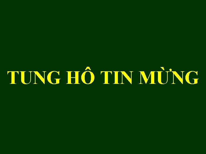 TUNG HÔ TIN MỪNG 