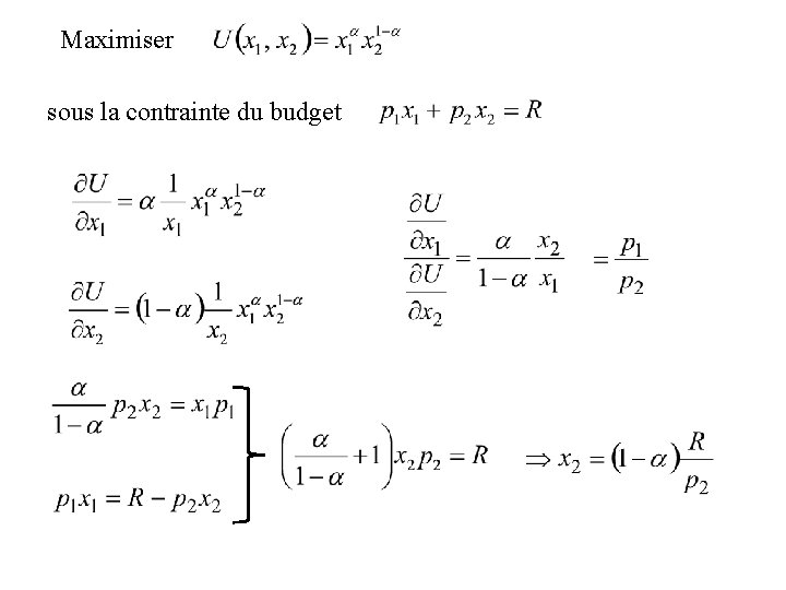 Maximiser sous la contrainte du budget Maximiser sous la contrainte du budget