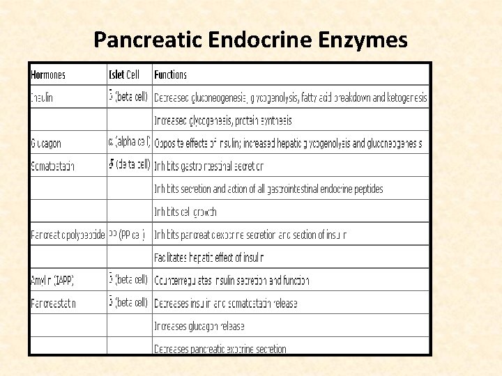 Pancreatic Endocrine Enzymes 