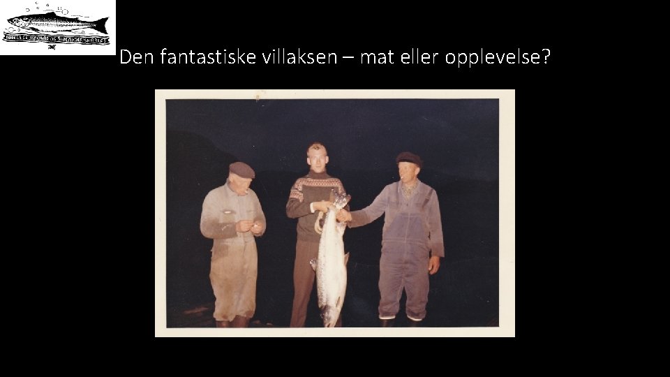 Den fantastiske villaksen – mat eller opplevelse? 