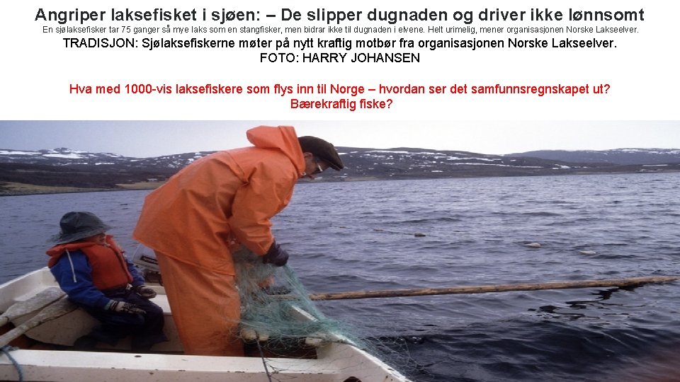 Angriper laksefisket i sjøen: – De slipper dugnaden og driver ikke lønnsomt En sjølaksefisker