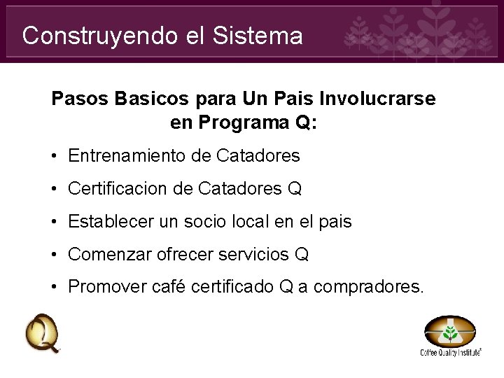 Construyendo el Sistema Pasos Basicos para Un Pais Involucrarse en Programa Q: • Entrenamiento
