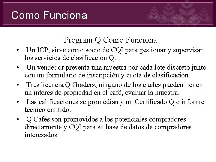 Como Funciona Program Q Como Funciona: • Un ICP, sirve como socio de CQI