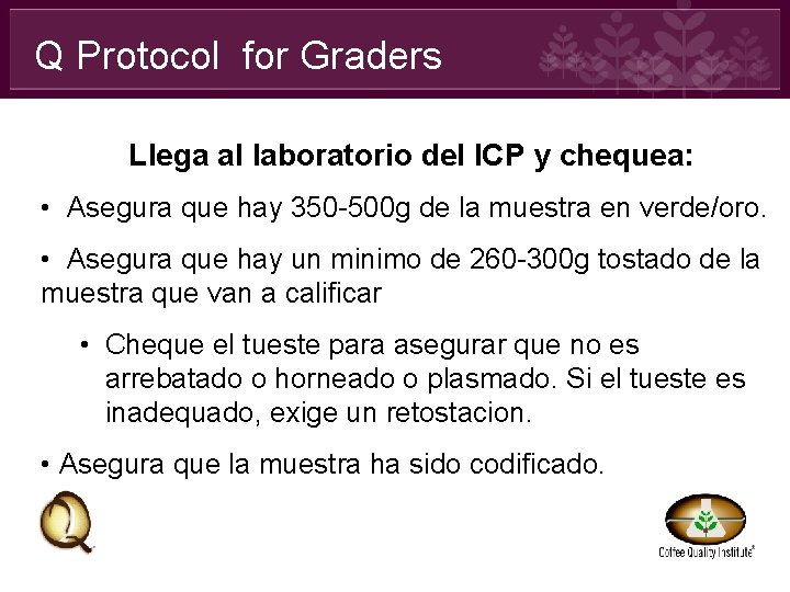 Q Protocol for Graders Llega al laboratorio del ICP y chequea: • Asegura que