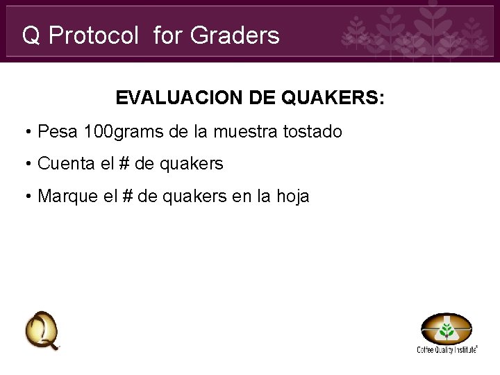 Q Protocol for Graders EVALUACION DE QUAKERS: • Pesa 100 grams de la muestra