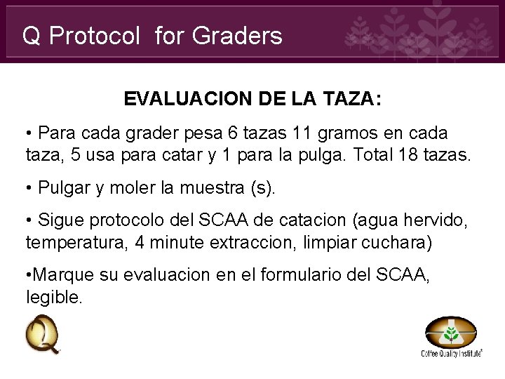 Q Protocol for Graders EVALUACION DE LA TAZA: • Para cada grader pesa 6