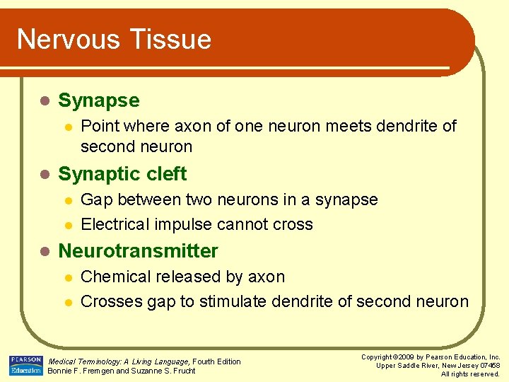 Nervous Tissue l Synapse l l Synaptic cleft l l l Point where axon