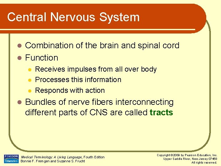 Central Nervous System Combination of the brain and spinal cord l Function l l