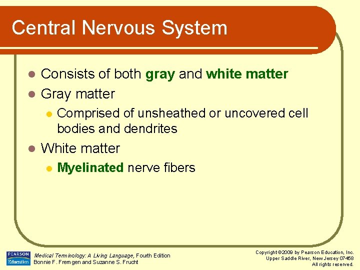 Central Nervous System Consists of both gray and white matter l Gray matter l