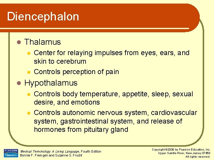 Diencephalon l Thalamus l l l Center for relaying impulses from eyes, ears, and