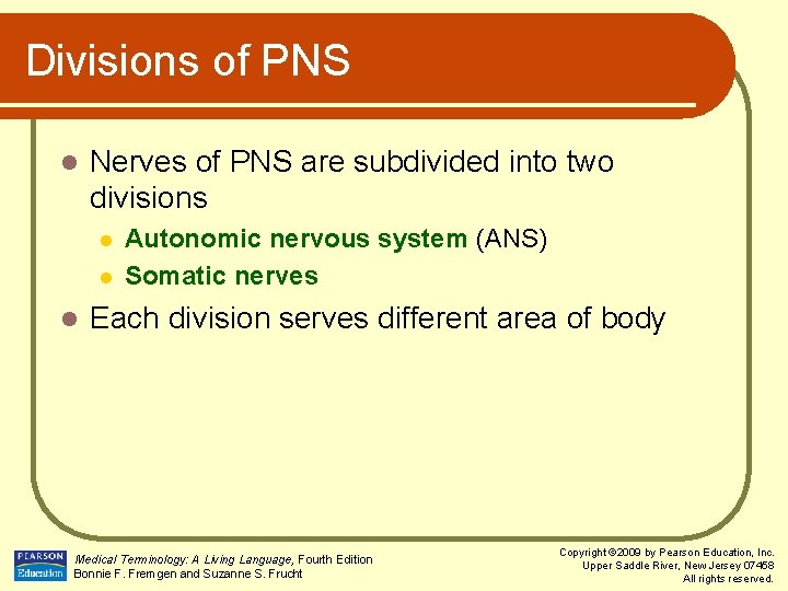 Divisions of PNS l Nerves of PNS are subdivided into two divisions l l