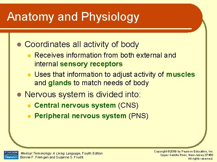 Anatomy and Physiology l Coordinates all activity of body l l l Receives information