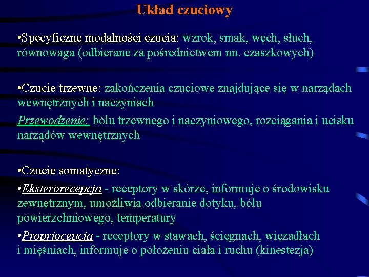 Układ czuciowy • Specyficzne modalności czucia: wzrok, smak, węch, słuch, równowaga (odbierane za pośrednictwem