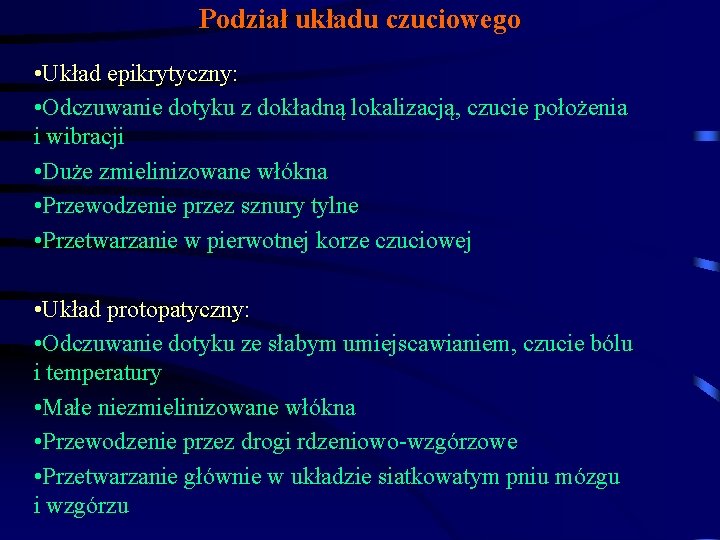 Podział układu czuciowego • Układ epikrytyczny: • Odczuwanie dotyku z dokładną lokalizacją, czucie położenia