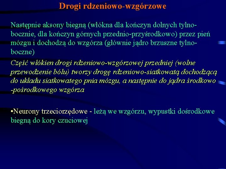 Drogi rdzeniowo-wzgórzowe Następnie aksony biegną (włókna dla kończyn dolnych tylnobocznie, dla kończyn górnych przednio-przyśrodkowo)