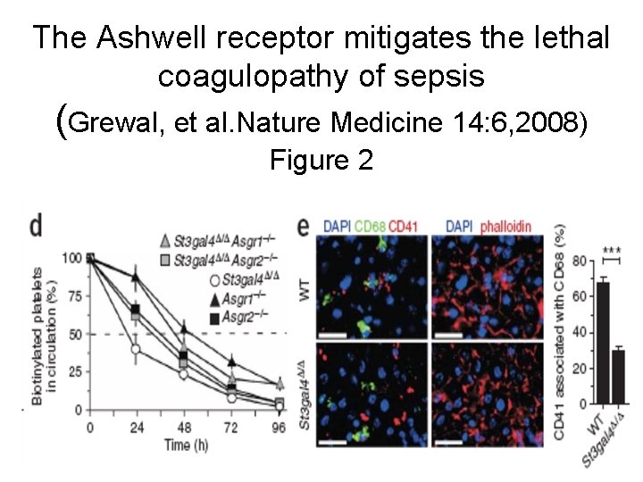 The Ashwell receptor mitigates the lethal coagulopathy of sepsis (Grewal, et al. Nature Medicine