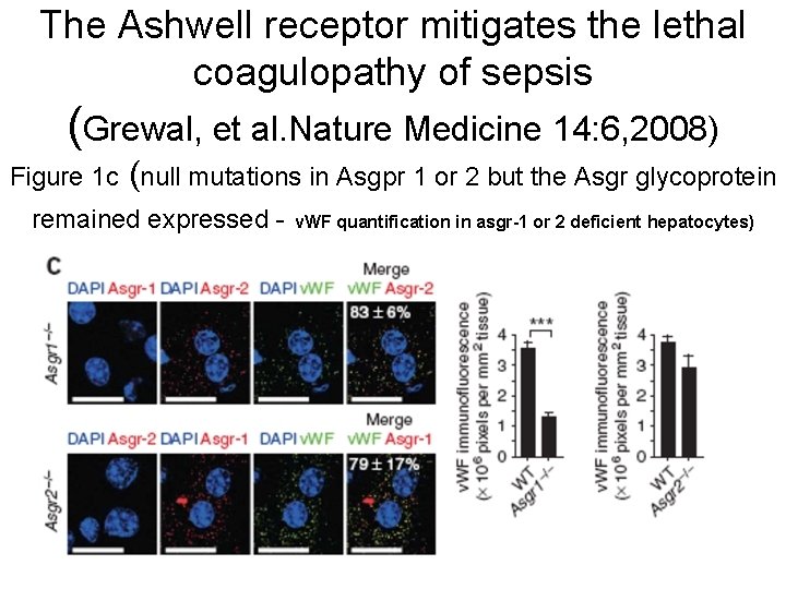 The Ashwell receptor mitigates the lethal coagulopathy of sepsis (Grewal, et al. Nature Medicine