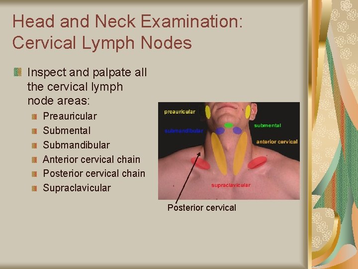 Head and Neck Examination: Cervical Lymph Nodes Inspect and palpate all the cervical lymph