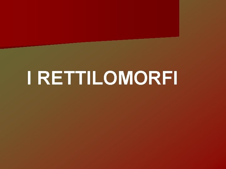 I RETTILOMORFI 