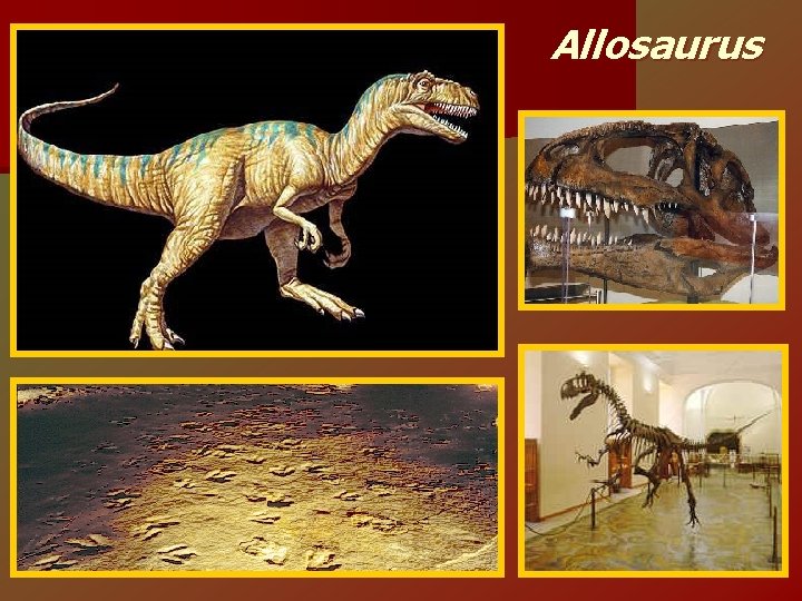 Allosaurus 